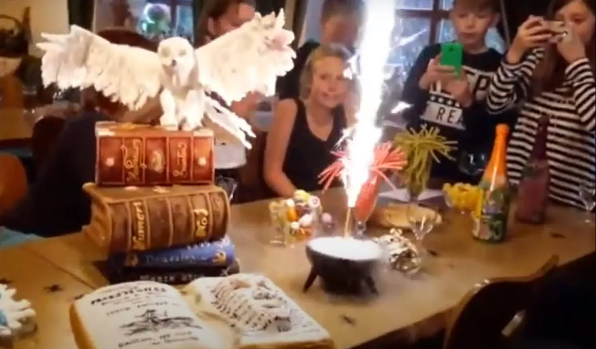 video HarryPotterParty