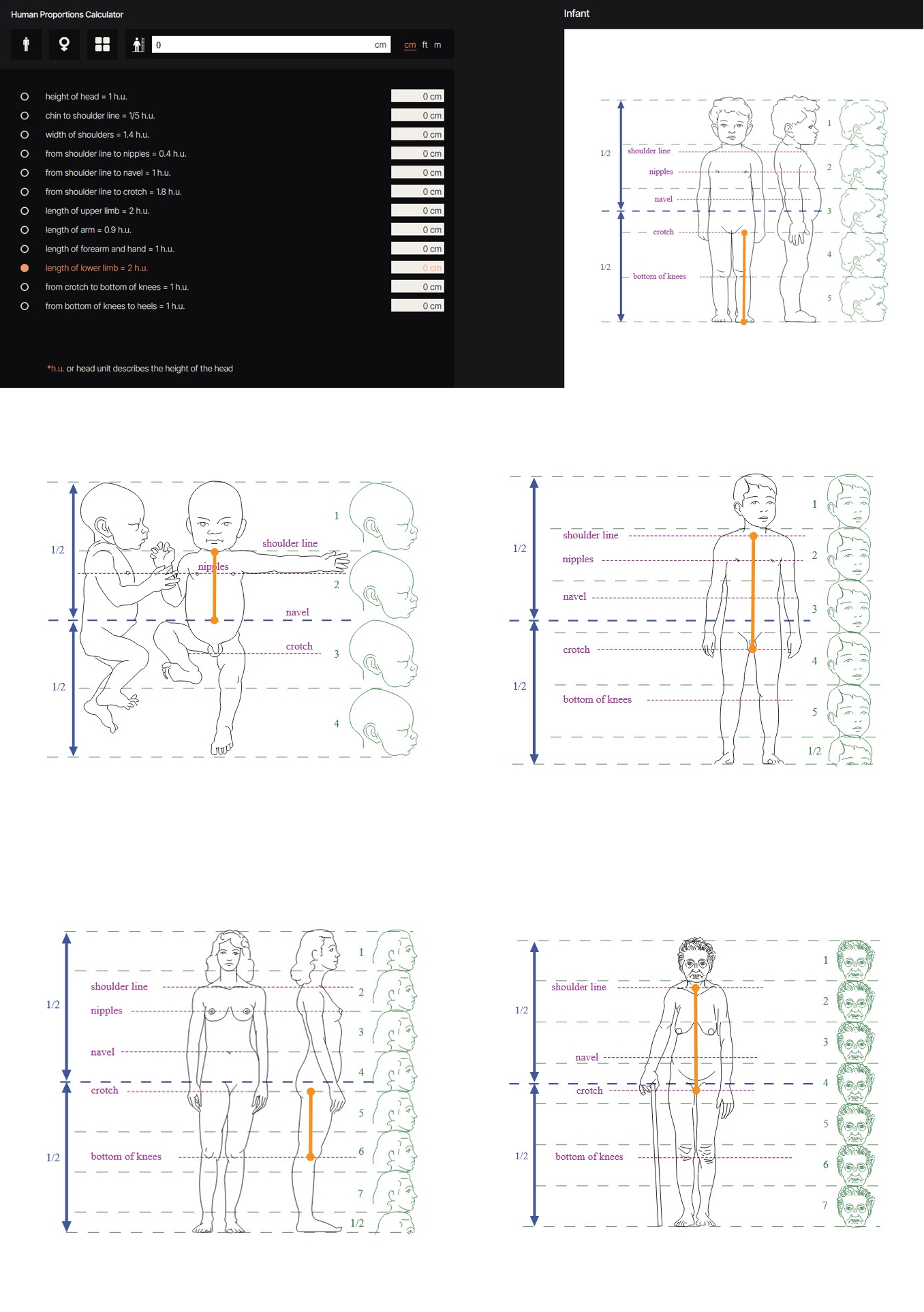 anatomy HPC