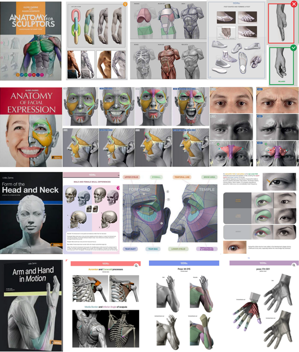 anatomy books zm