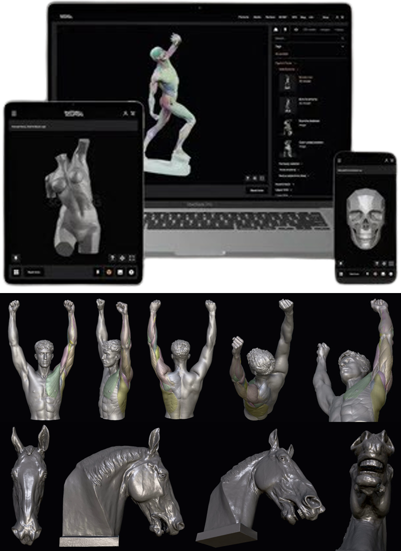 anatomy digitalni zm