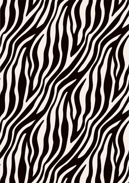 Transferfolie_ZEBRA_2barevna_3